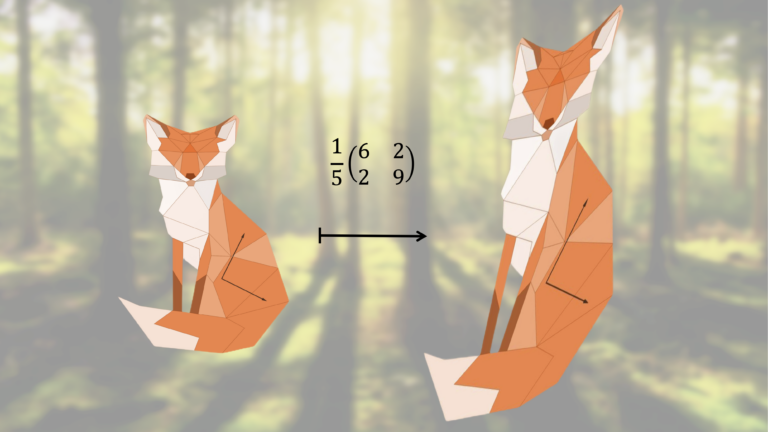 Example of a linear transformation applied to an abstract drawing of a fox.